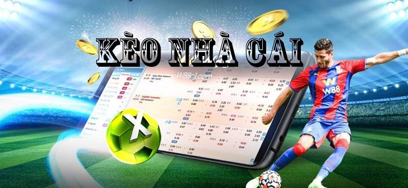 Hướng Dẫn Tỷ Lệ Kèo – Mẹo Hay Cho Người Mới